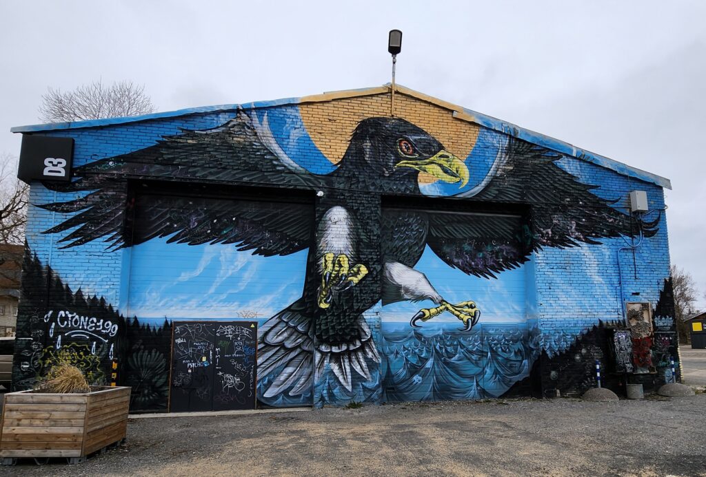 Katutaidetta Tallinnassa