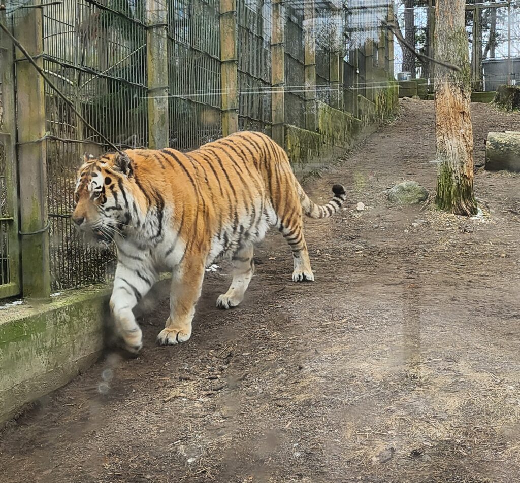 Korkeasaari Helsinki