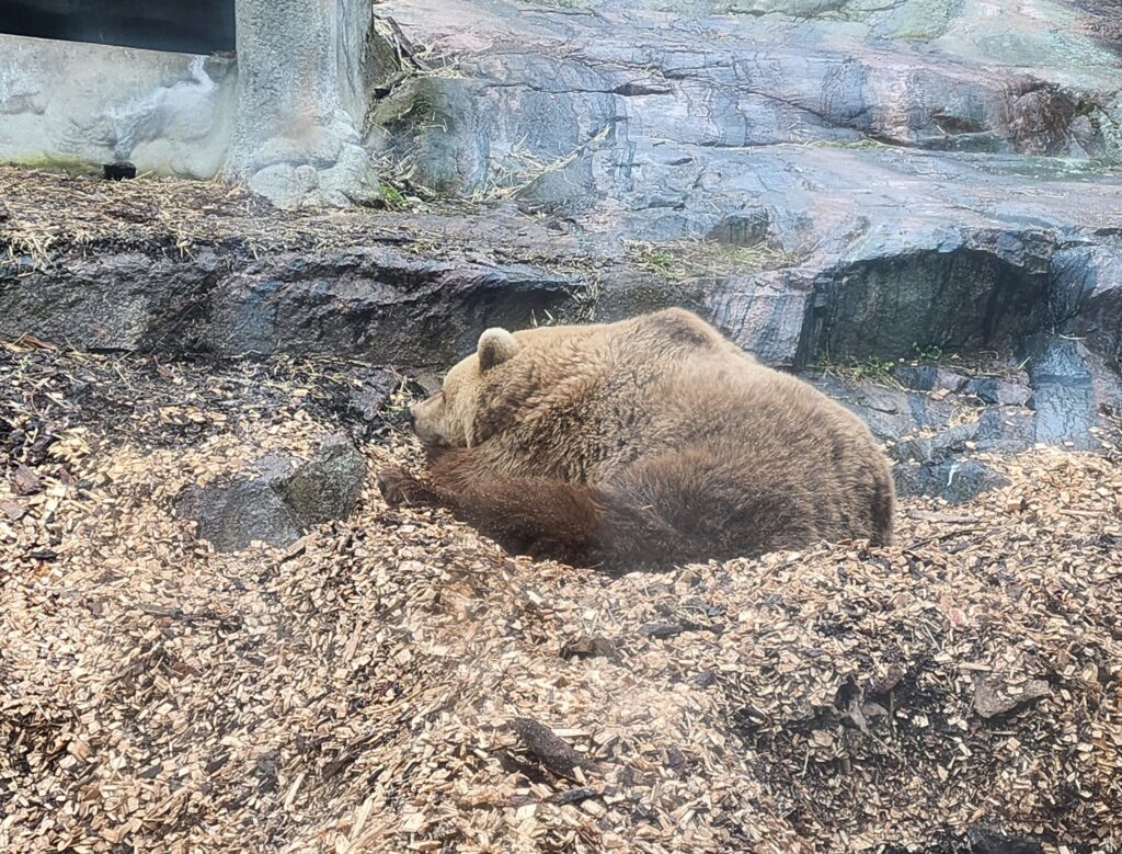 Korkeasaari Helsinki