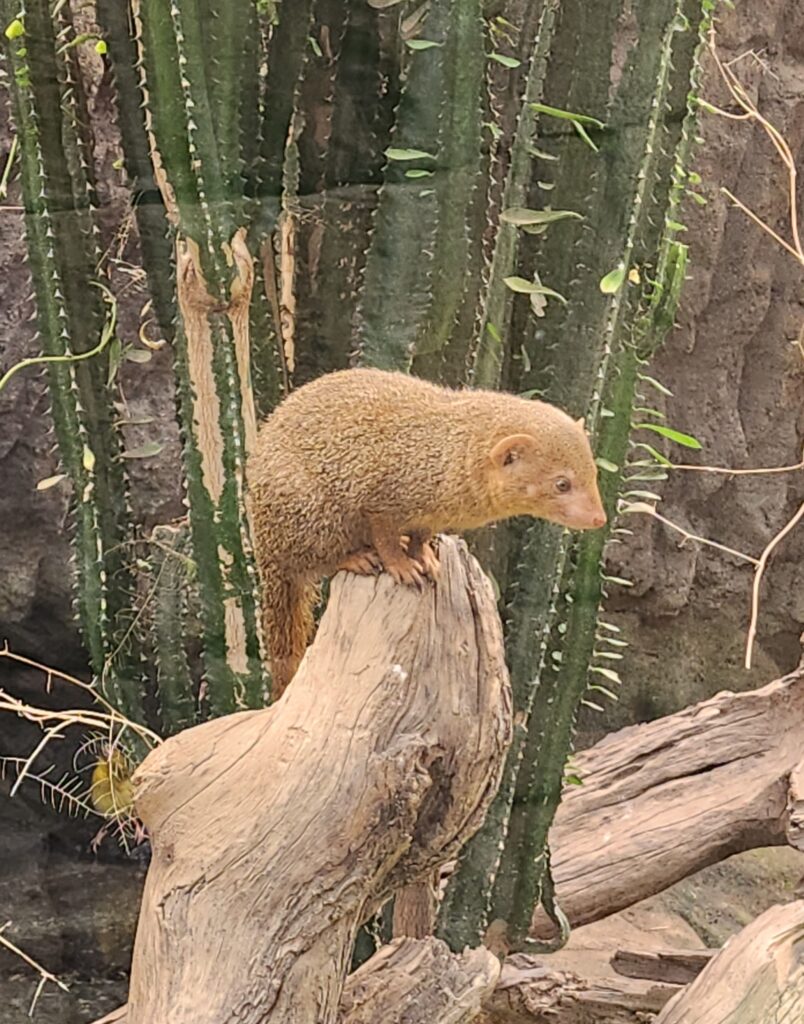 Korkeasaari Helsinki