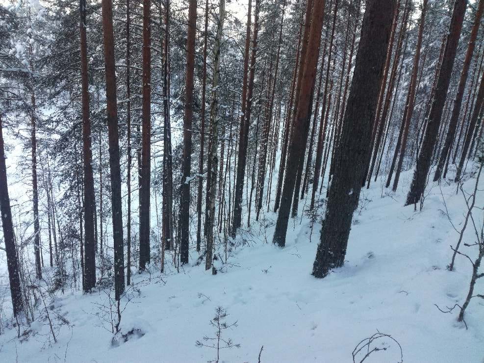 Kolme paikkaa, joissa olen asunut