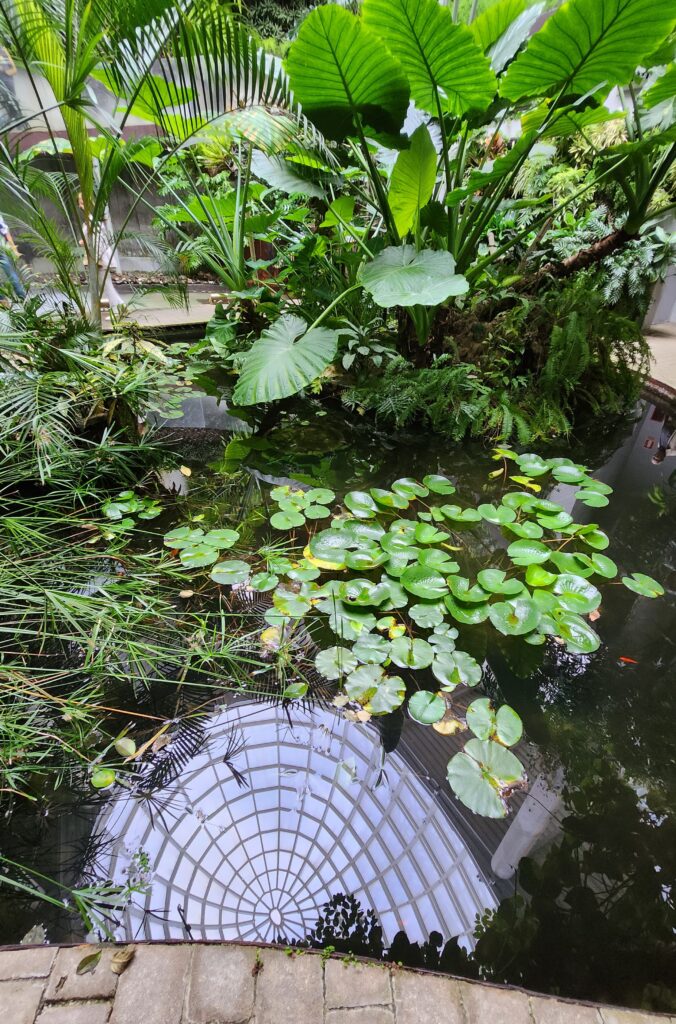 Esteponan orkideapuisto