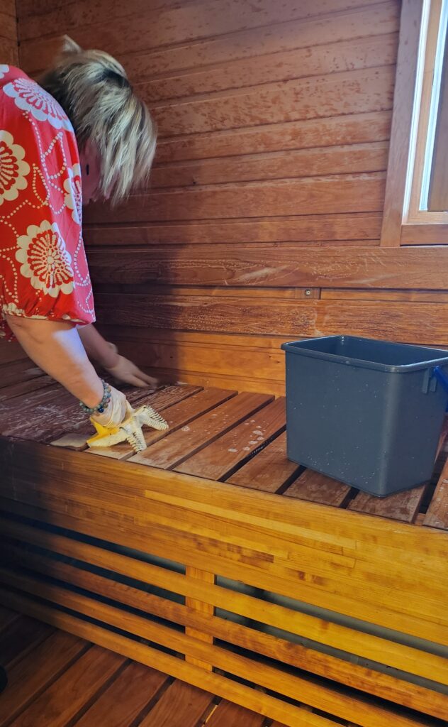 Saunan lauteiden pesu