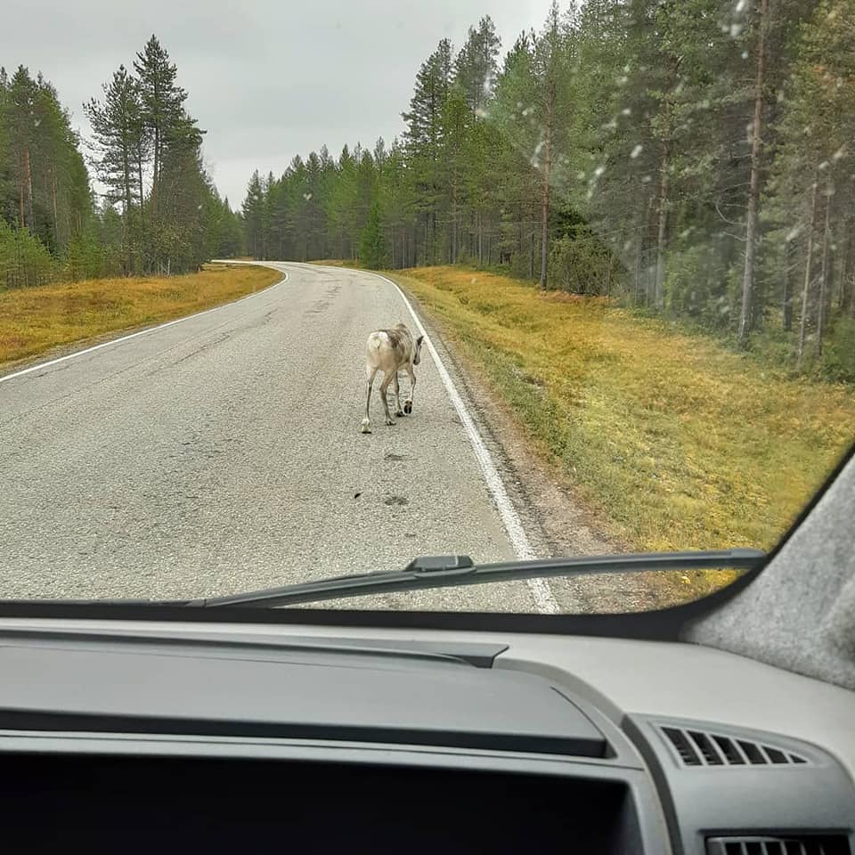 Kerran karavaanari, aina karavaanari?