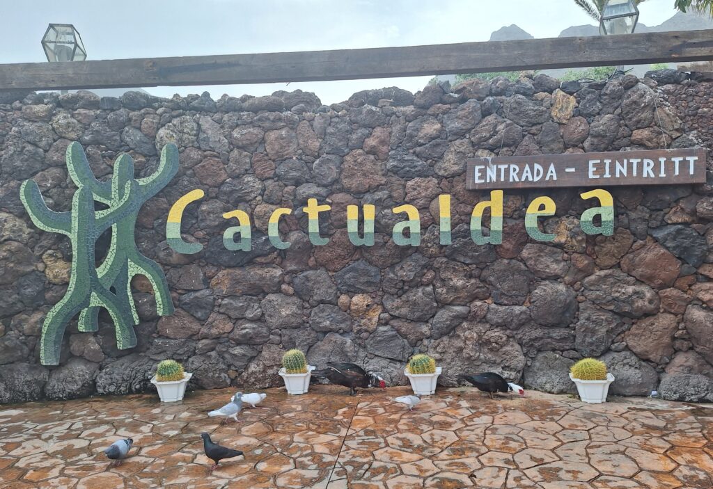 Gran Canaria, kaktuspuisto