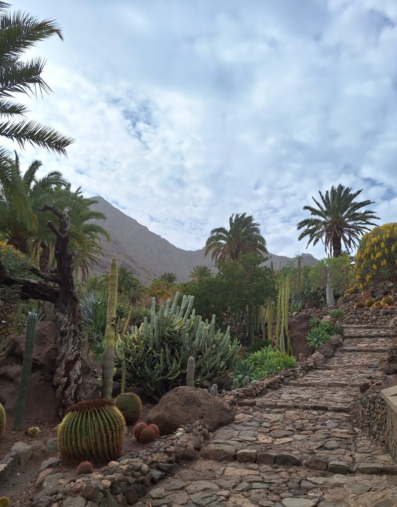 Gran Canaria, kaktuspuisto