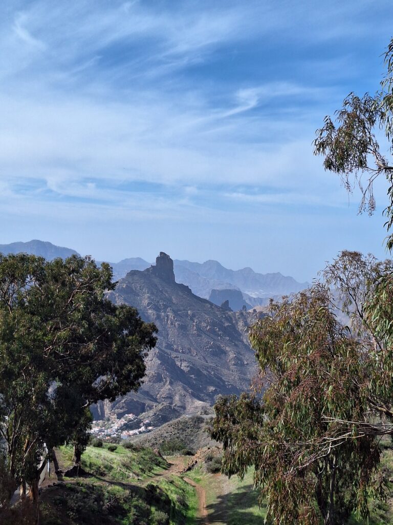 Gran Canarian matkasta