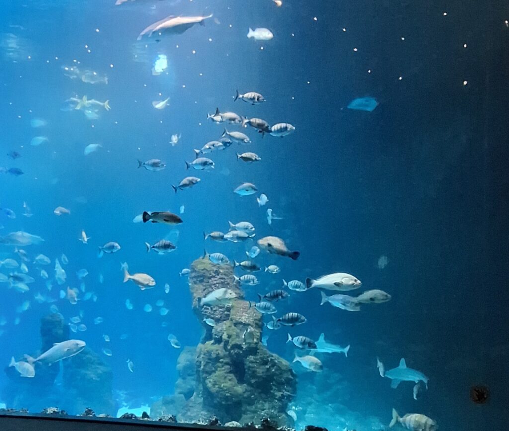 Kolmas lomaviikko Kanarialla