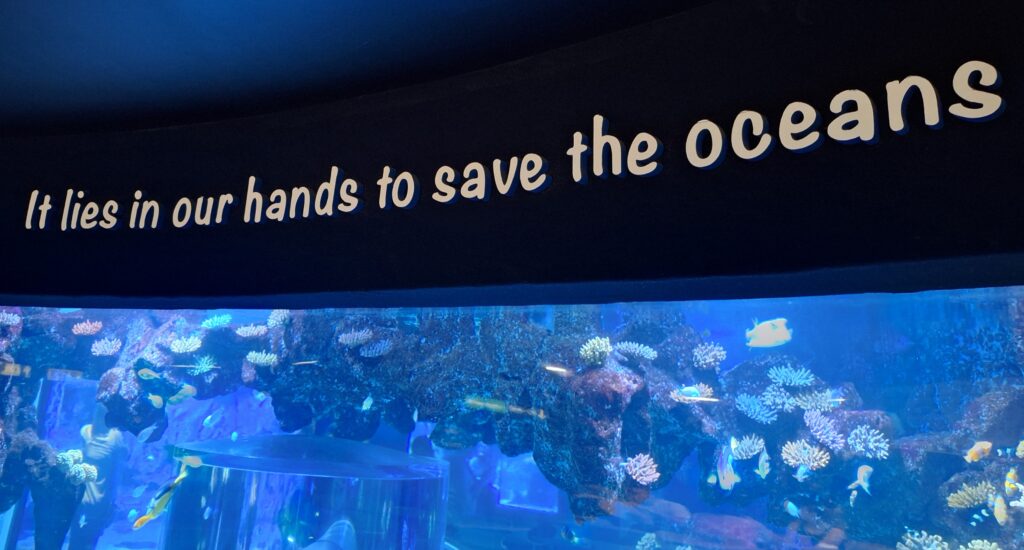 Poema del Mar Las Palmasissa