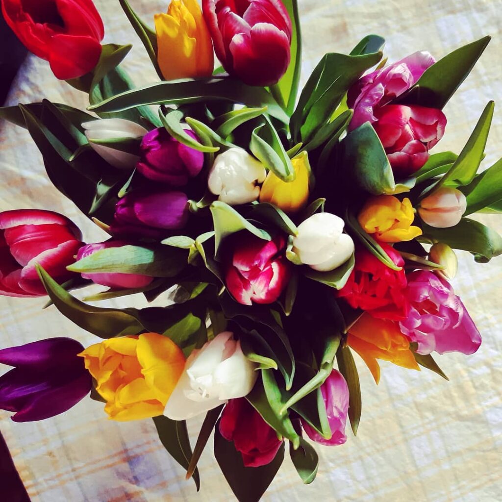 Ystävänpäivänä 2025