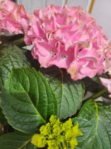 Äitienpäivärunoja Tarun tapaan