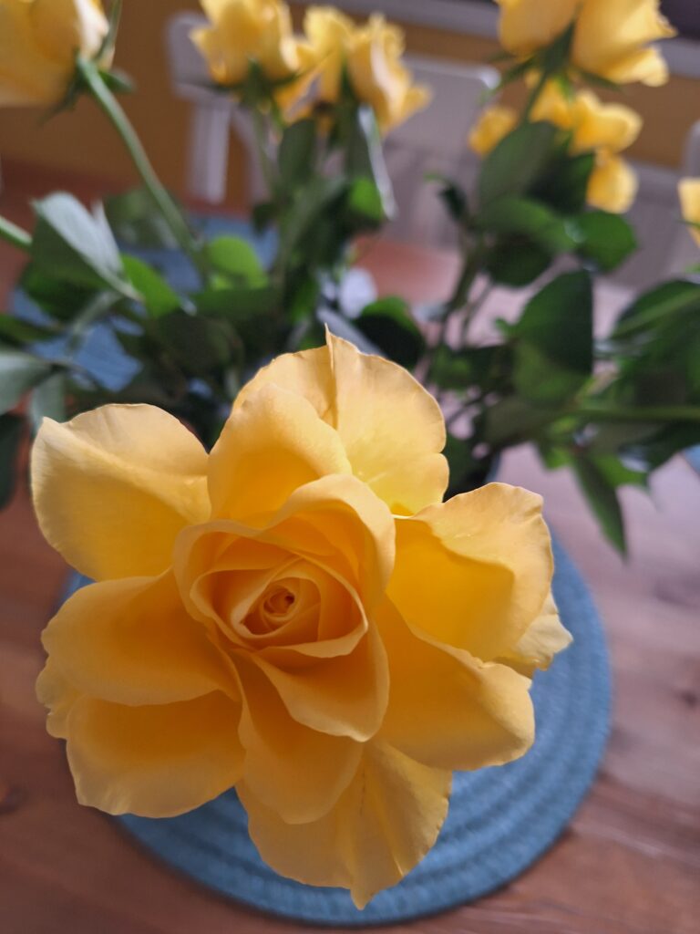 Kaverikirja-blogihaaste