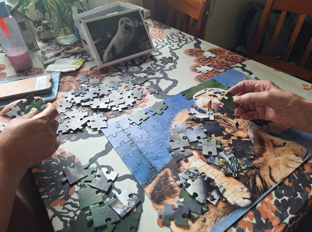 Palapelin tekoa perhehoidossa