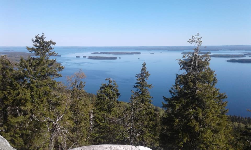 Koli