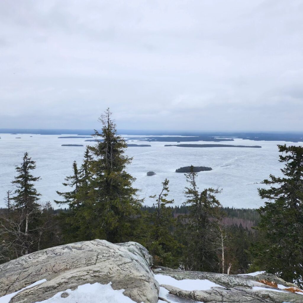 Koli