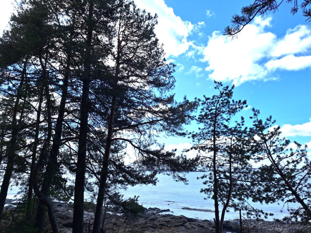 Hyvää Suomen aforismipäivää