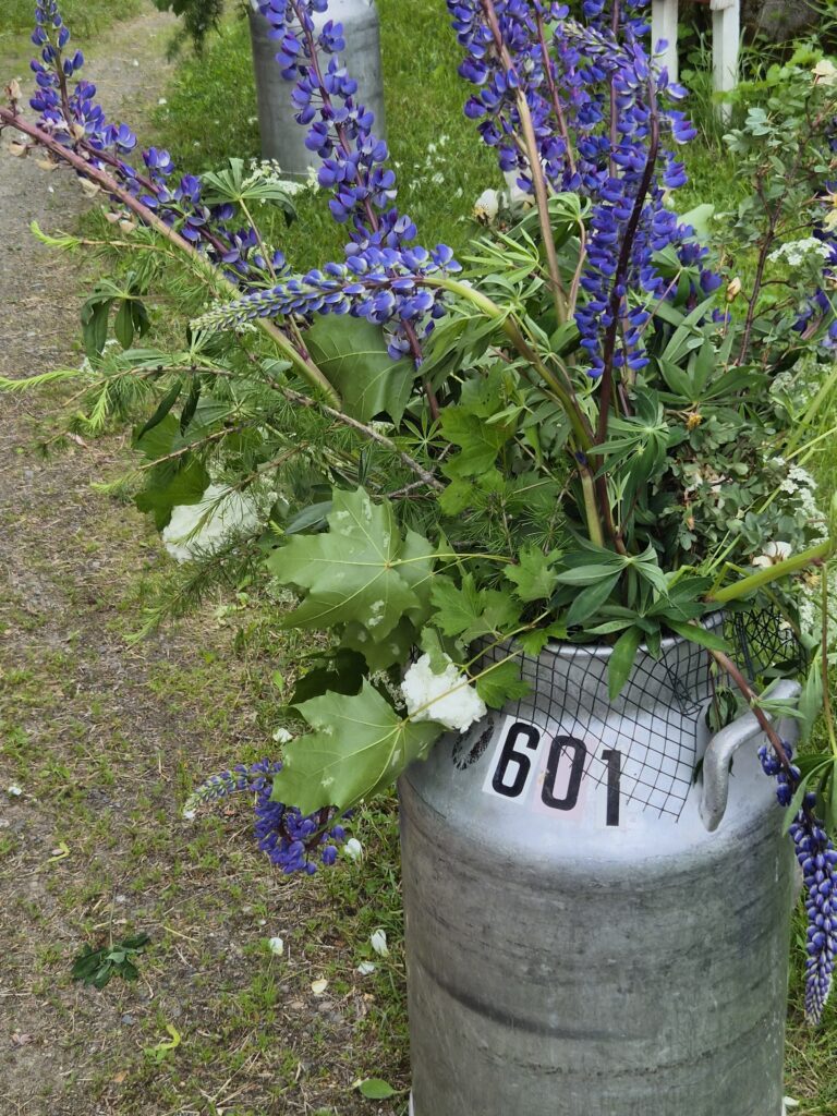 Rääkkylän saarten Asumisen Päivät