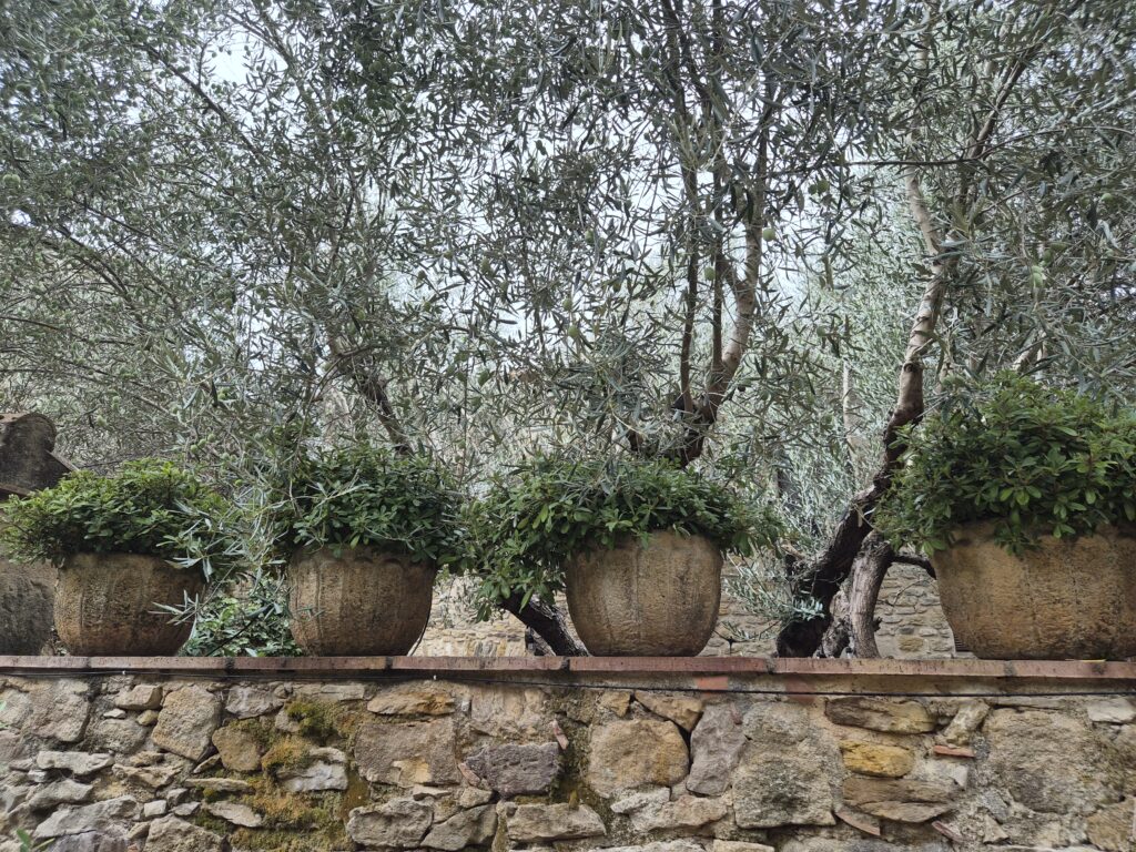 Peratallada