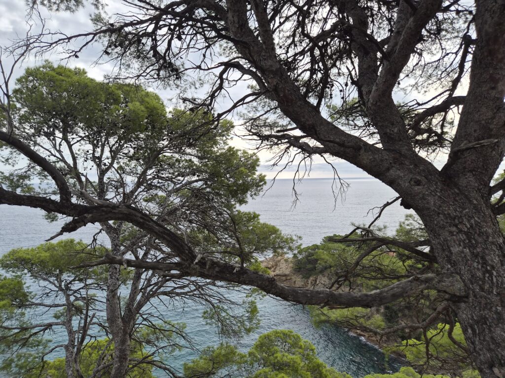 Katalonian matkan toinen viikko