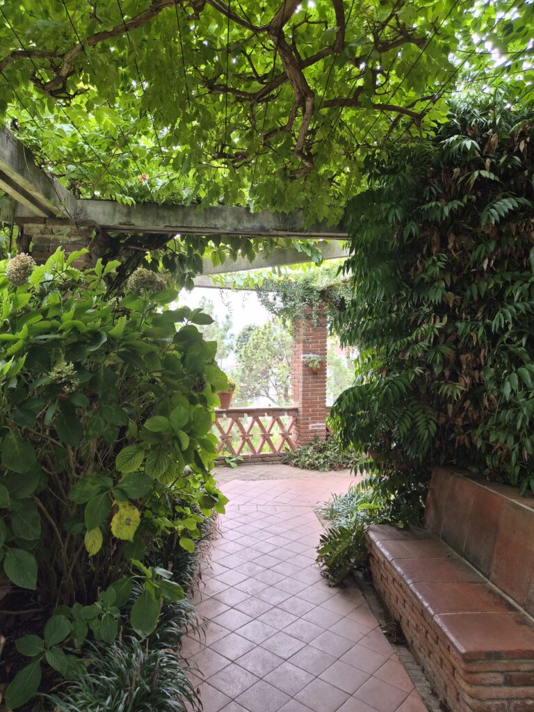 Jardi Botanic
